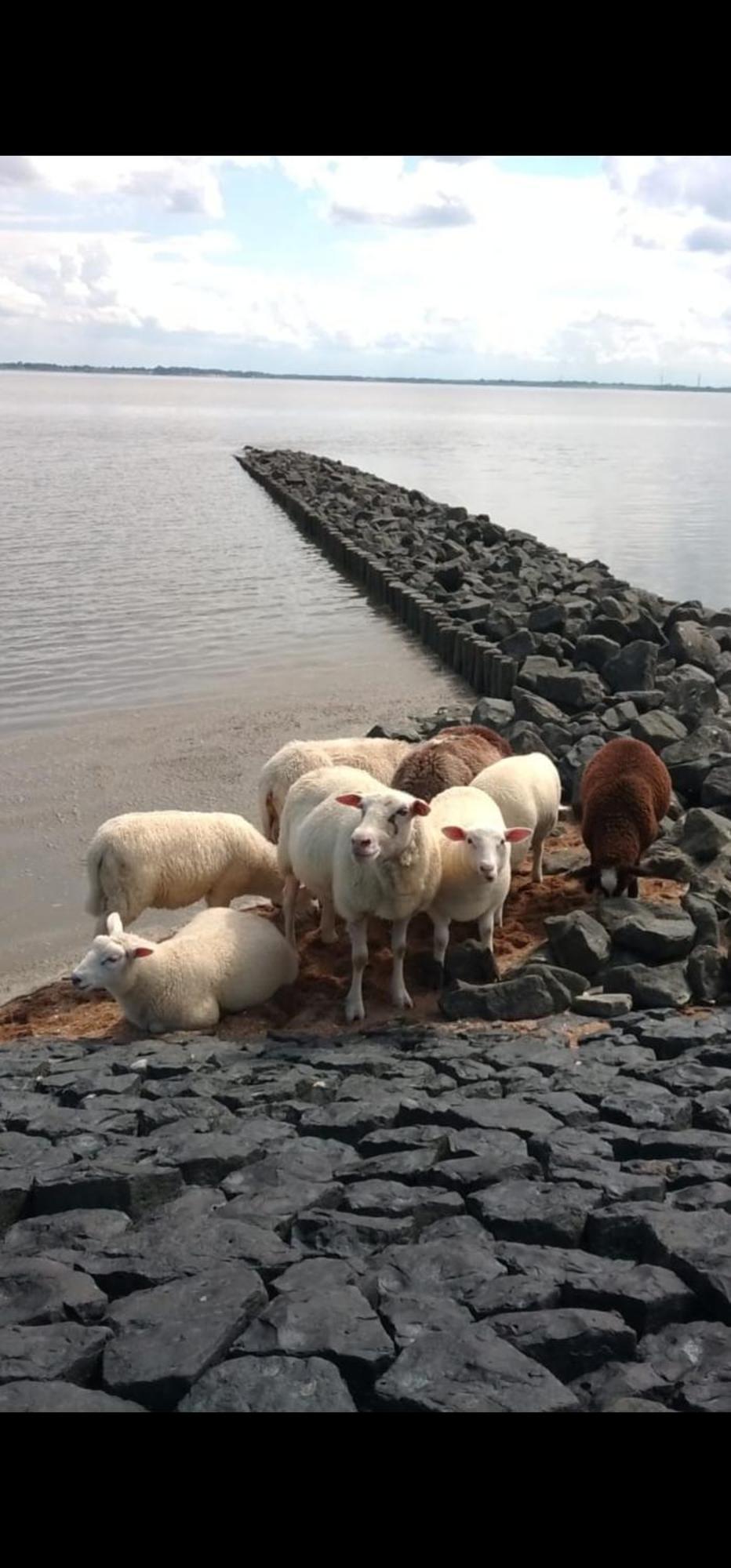Am Alten Siel Wilhelmshaven Buitenkant foto